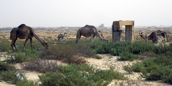 Mauretanien Umland